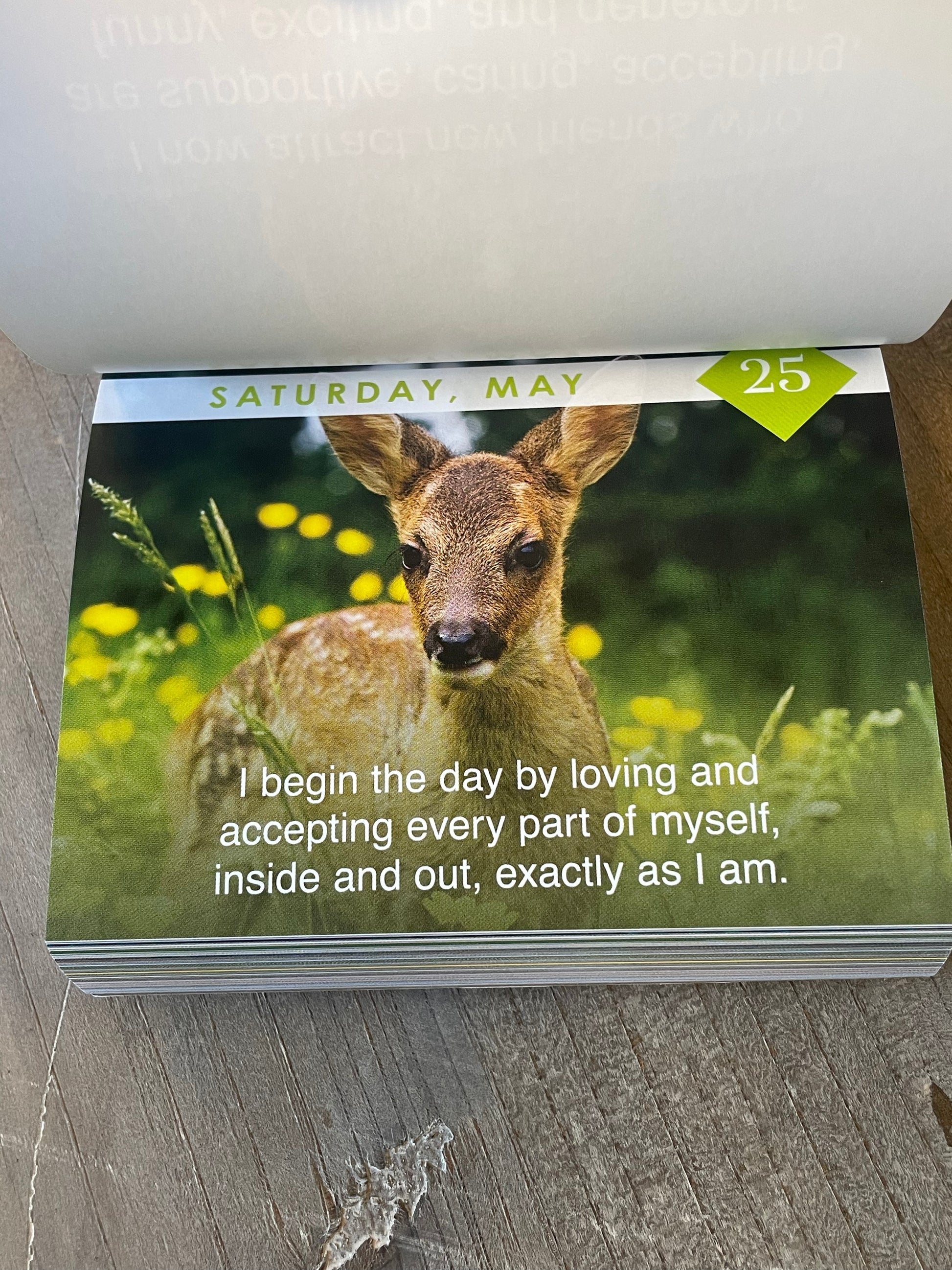 I Can Do It! 2024 Affirmation Calendar by Louise Hay